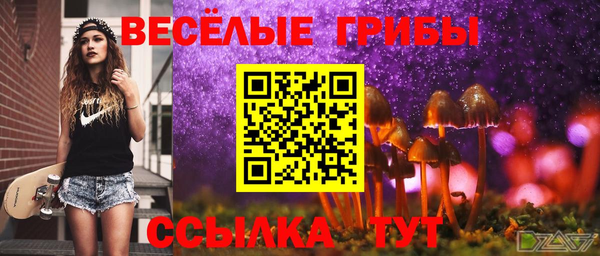 Галлюциногенные грибы Psilocybe Гусь-Хрустальный