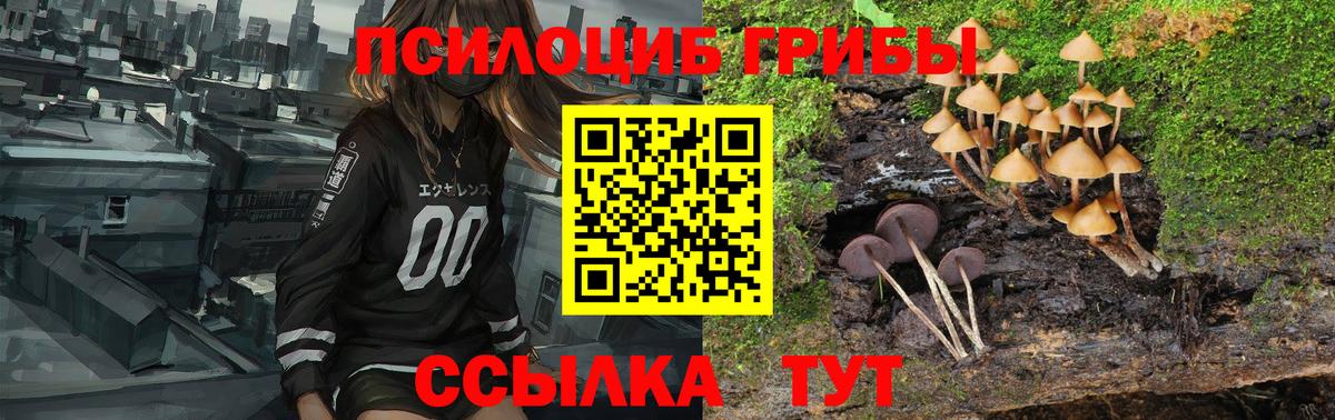 Псилоцибиновые грибы мицелий  Вход с VPN  Гусь-Хрустальный 